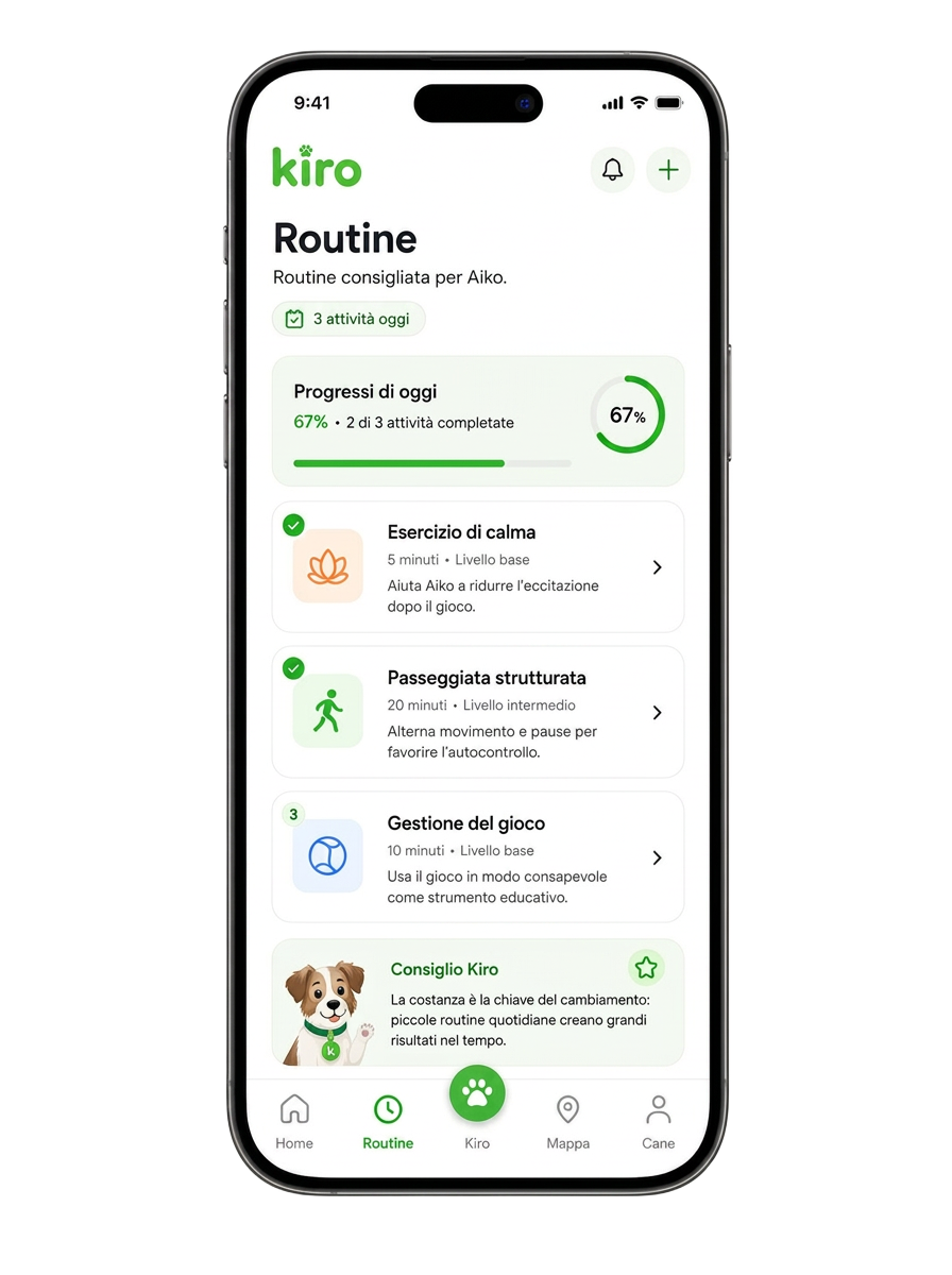 Routine educative