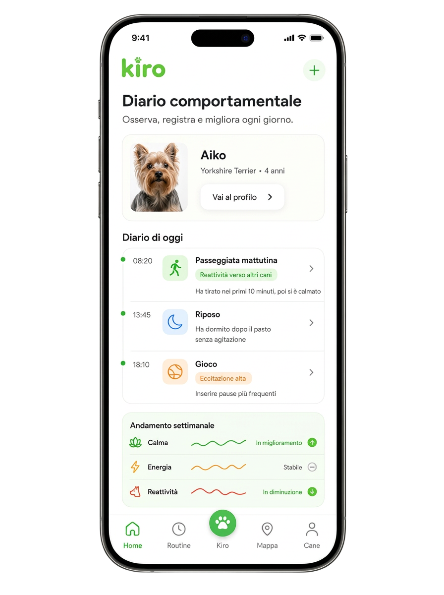 Diario comportamentale
